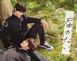 廊坊seo网站排名优化